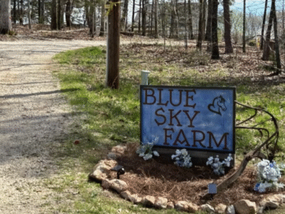 Blue Sky Farm Equestrian Bed & Breakfast